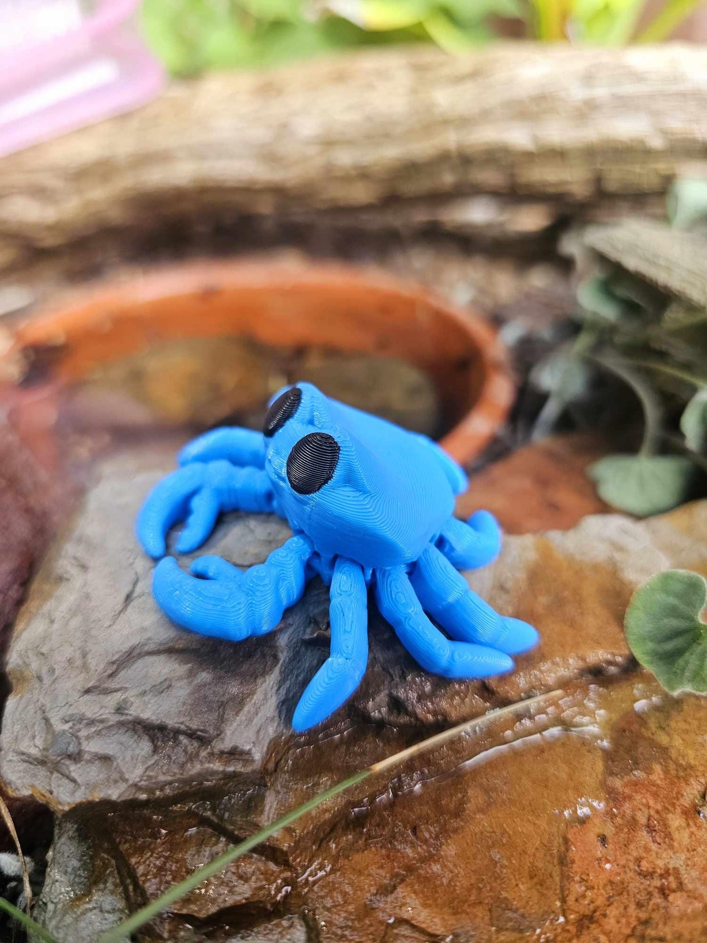 Tiny Crab