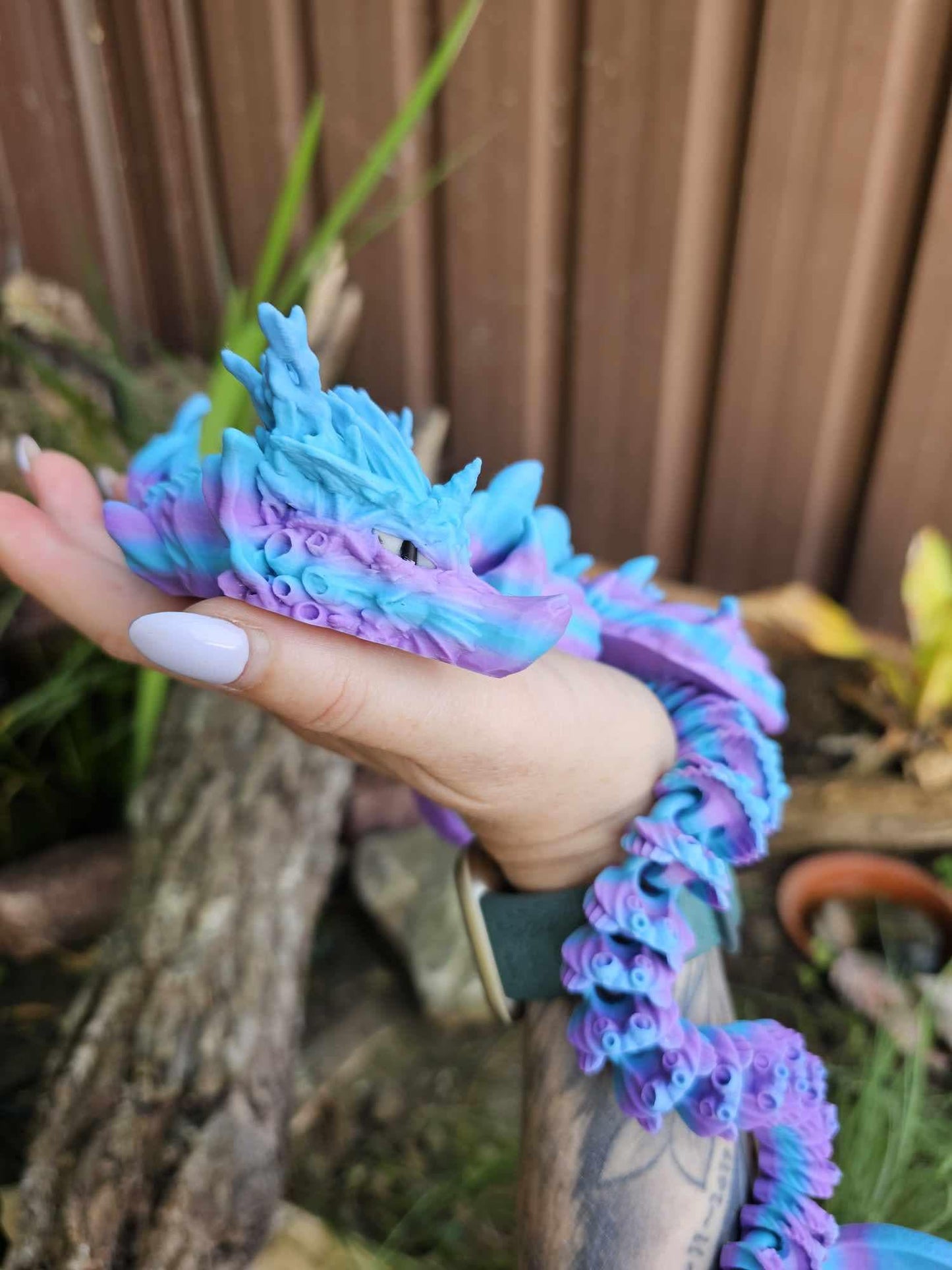 Coral Reef Dragon