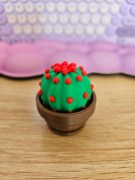 Cactus Clicker Fidget Toy
