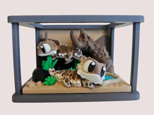 Bearded Dragon & Reptile Terrarium