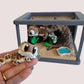 Bearded Dragon & Reptile Terrarium