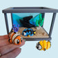 Tropical Fish and Tank