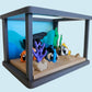 Tropical Fish and Tank