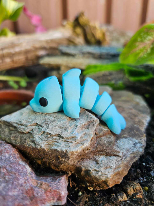 Mini Dolphin