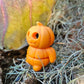 Mini Pumkin
