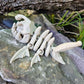 Skeleton Angler Fish