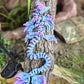 Coral Reef Dragon