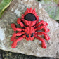 SPYder