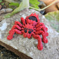 SPYder