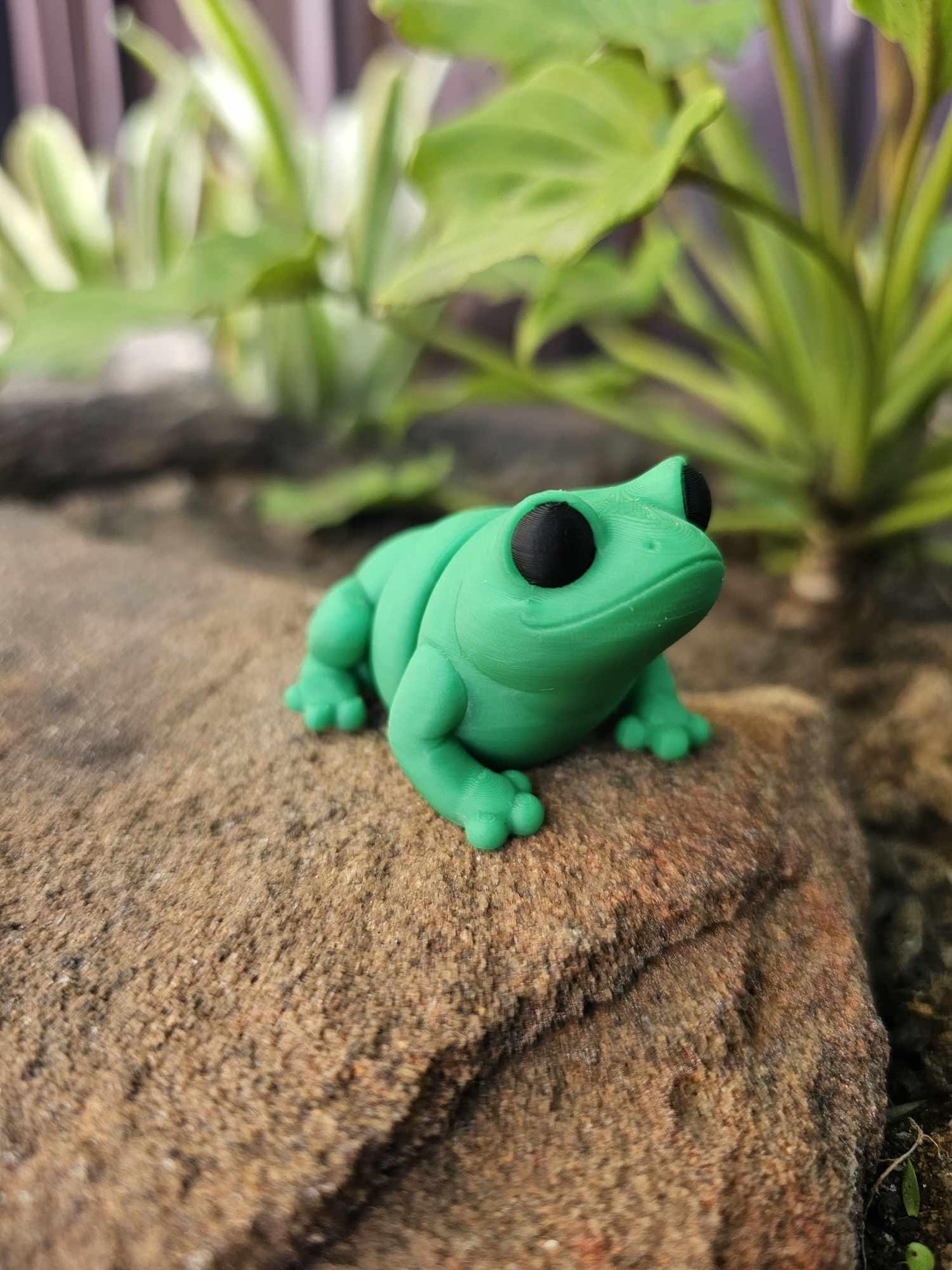 Mini Cheeky Butt Frog