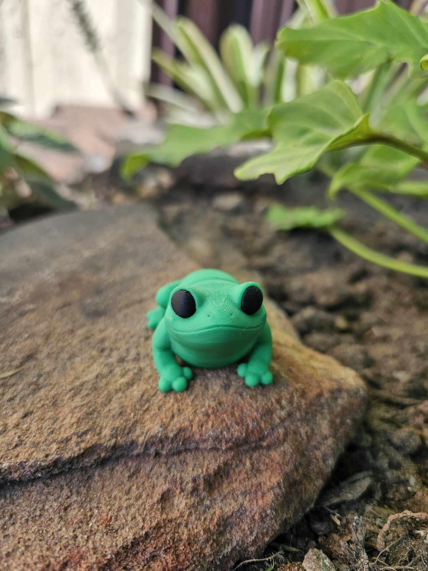 Mini Cheeky Butt Frog