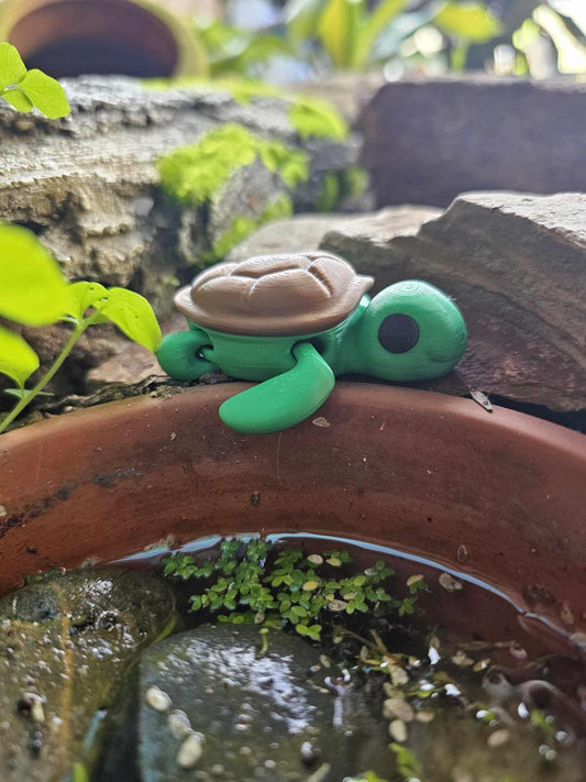 Mini Turtle