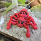 SPYder