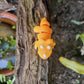 Mini Triceratops