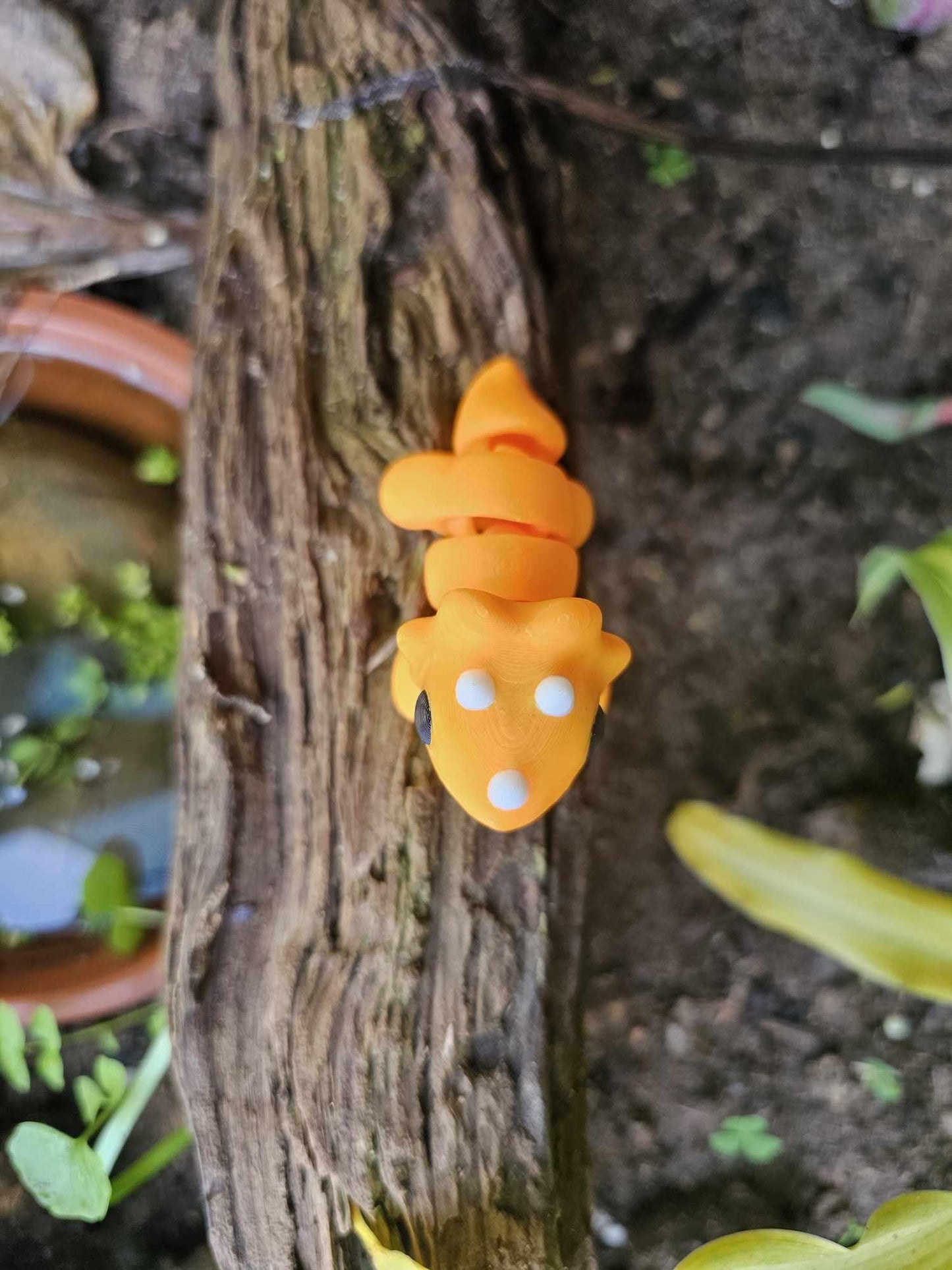 Mini Triceratops