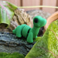 Mini Bronto