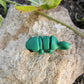 Mini Chameleon
