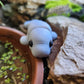 Mini Manatee