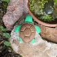 Mini Turtle