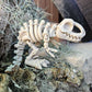 Skeleton T-Rex