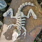 Skeleton T-Rex