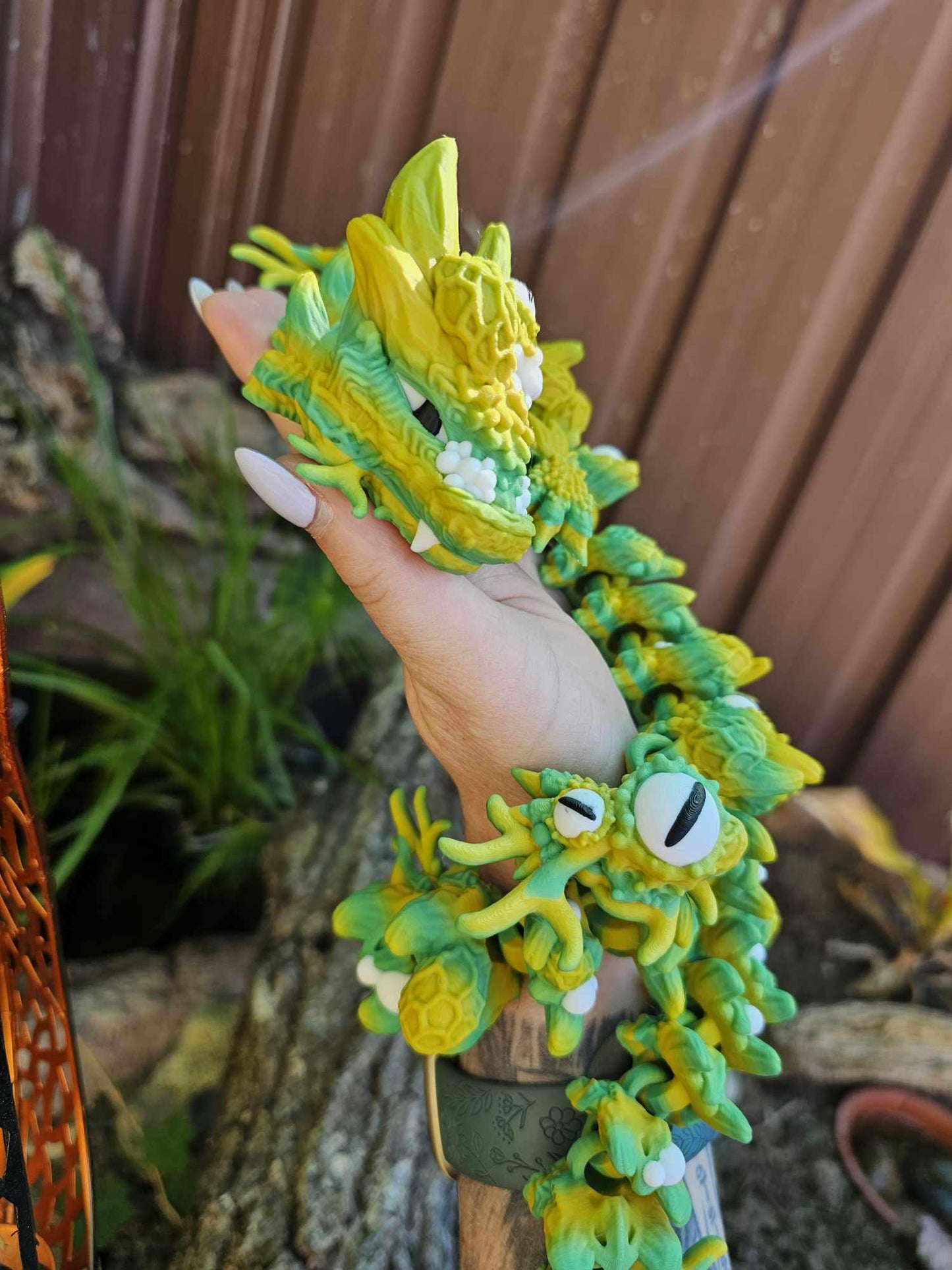 Infested Dragon