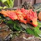 Baby Fire Phoenix