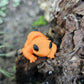 Mini Lizard