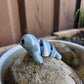 Mini Seal