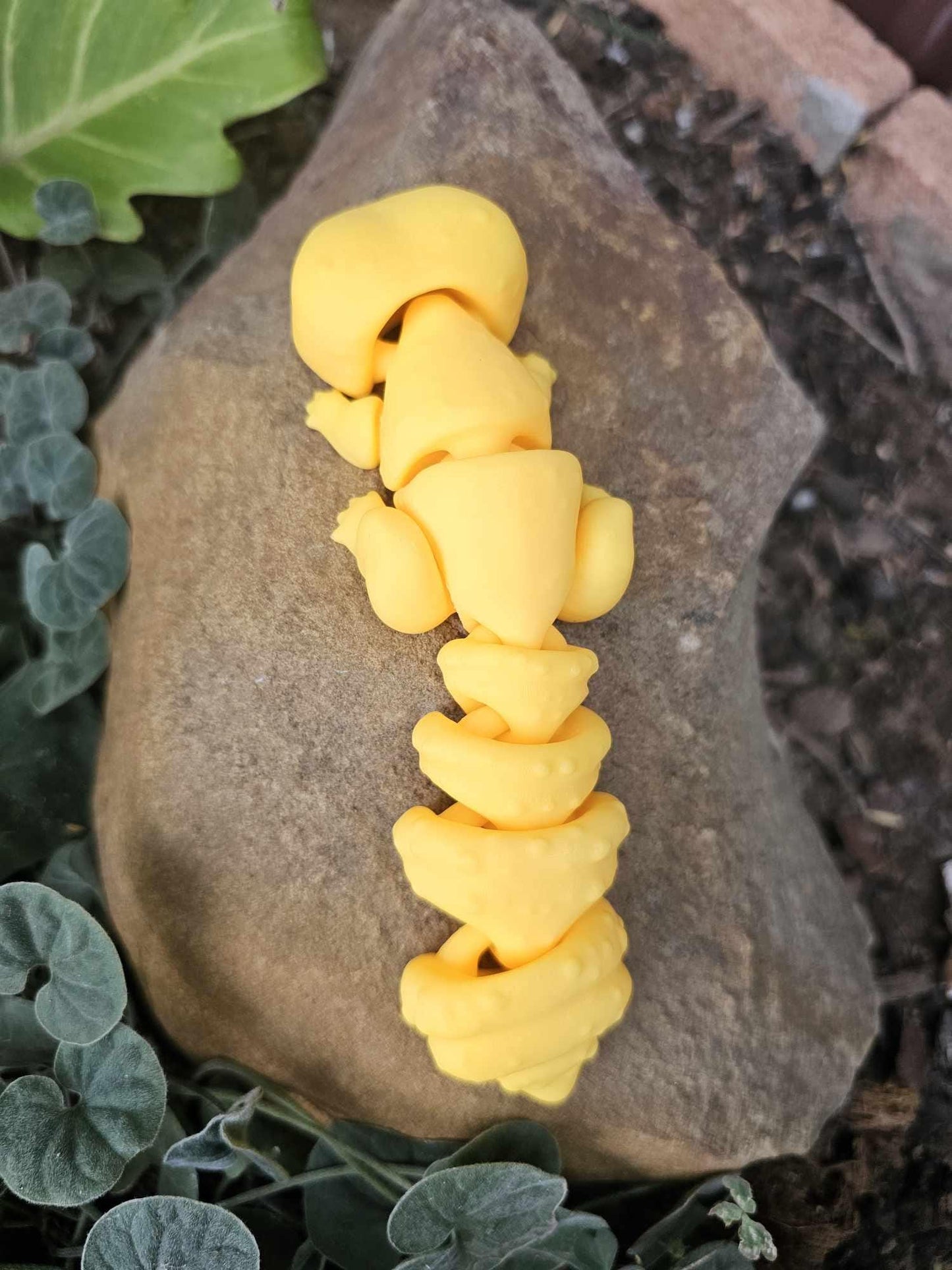 Gecko