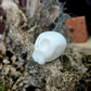 Mini Skull