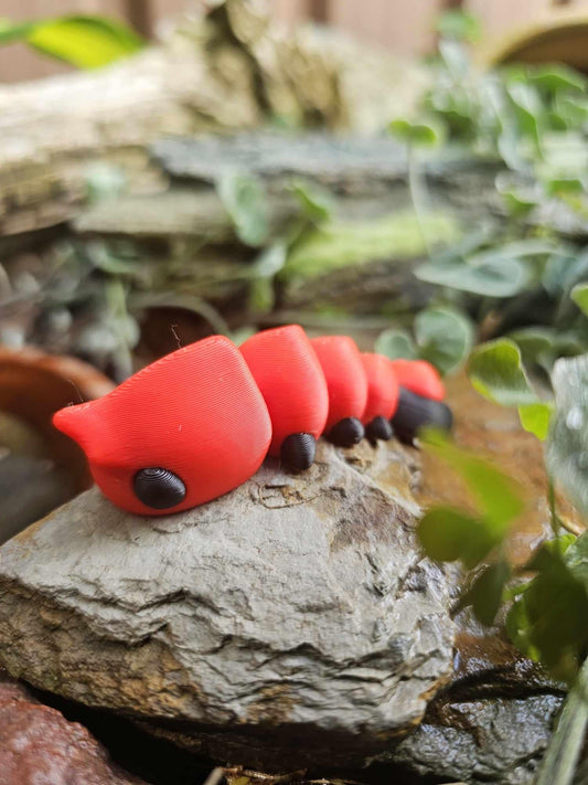 Mini Shrimp