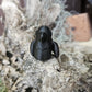 Baby Crow