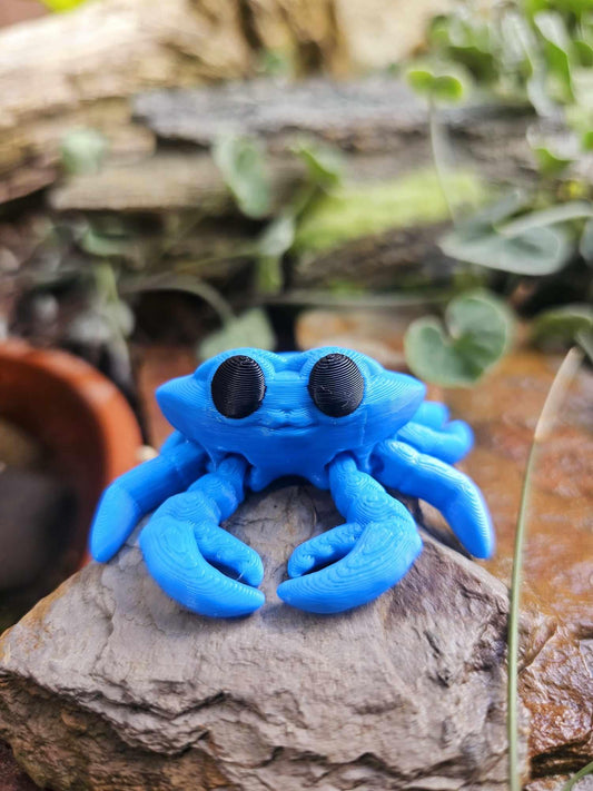 Tiny Crab