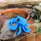 Tiny Crab